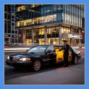 framed-image limo
